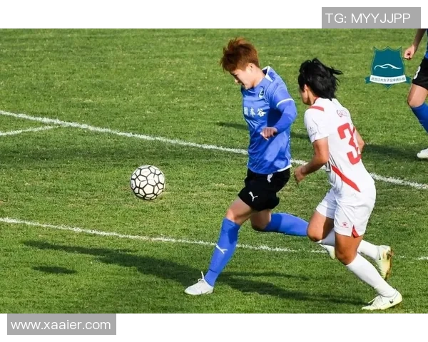 武汉羽毛球队的拼搏历程与大满贯荣耀之路的深度剖析